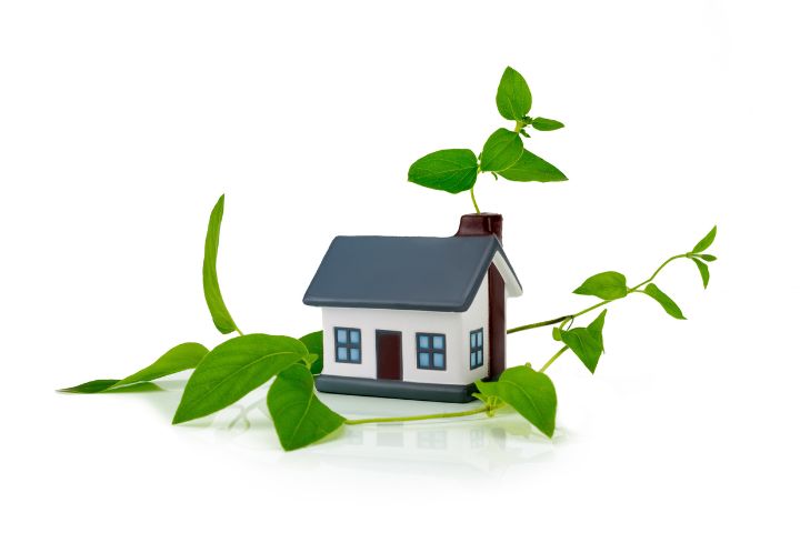 Tips for a greener home