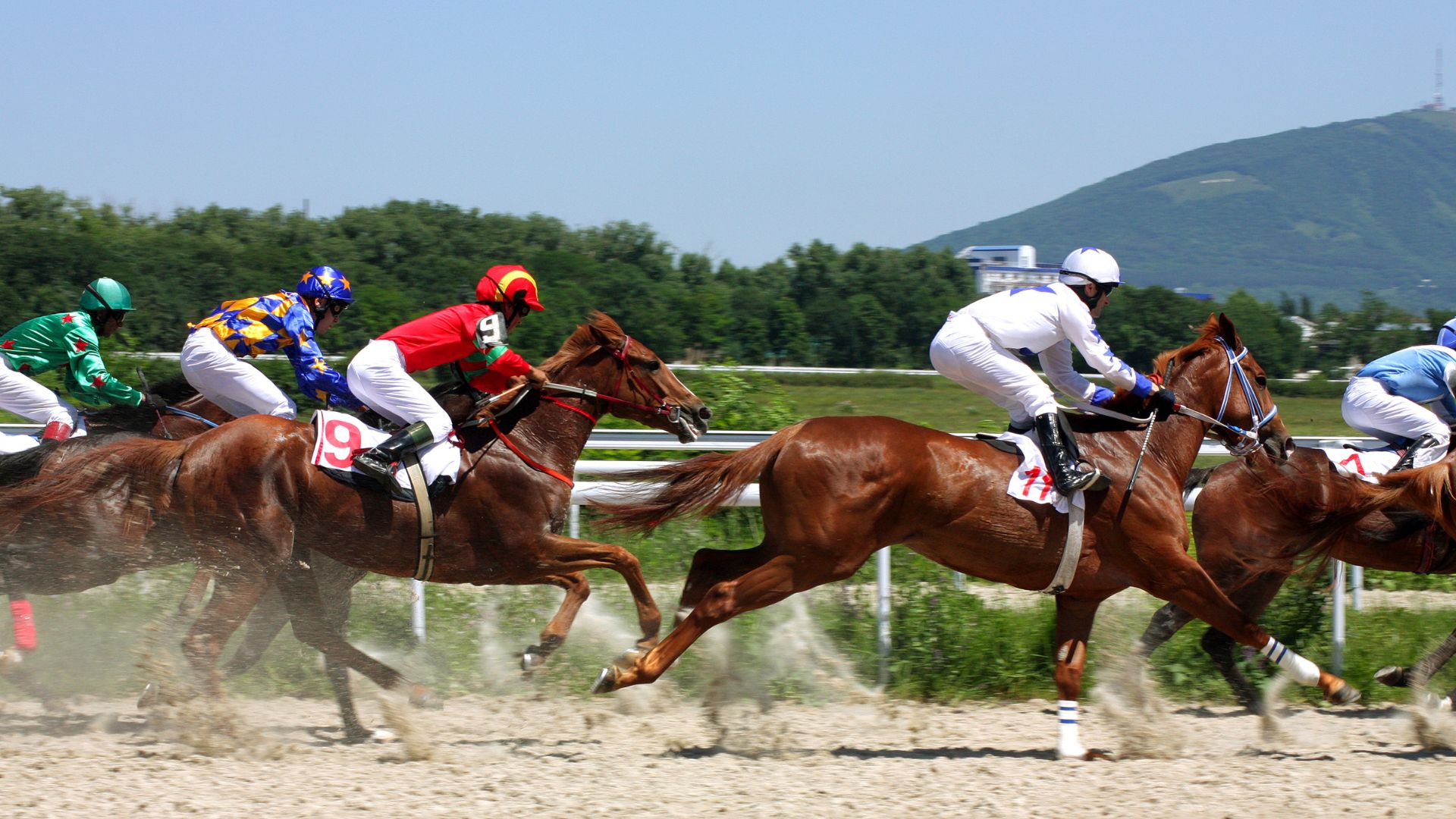 A Flutter On The Cup